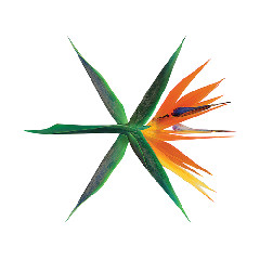 Download Music EXO - Ko Ko Bop MP3 - Laguku
